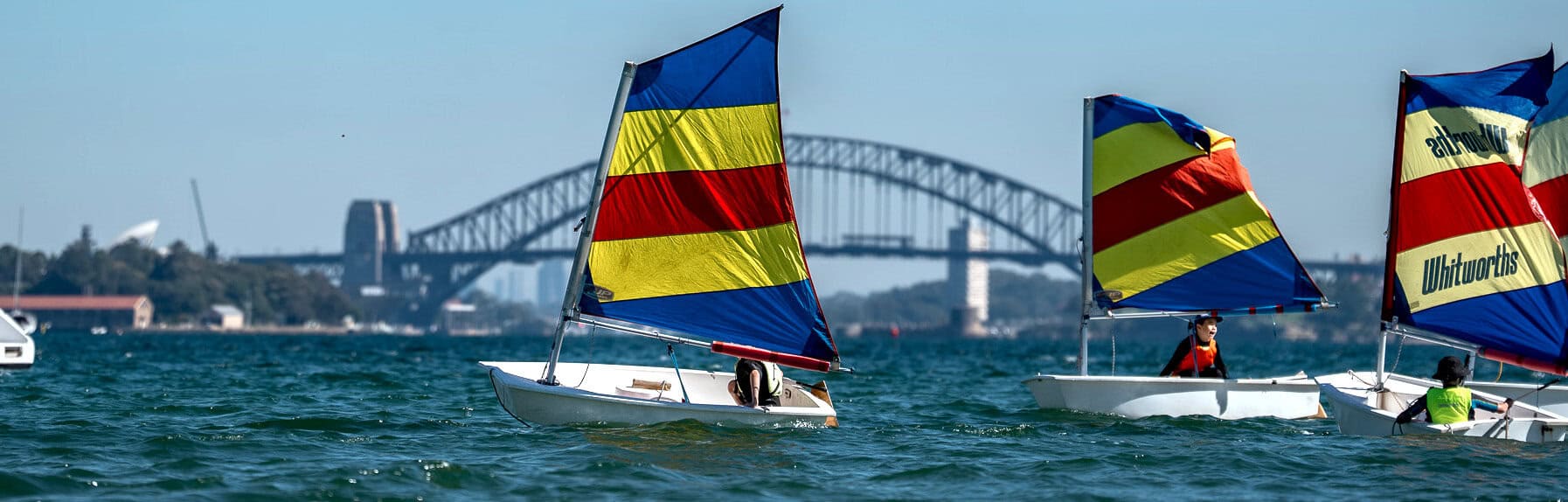Sailing boats at Woollahra Sailing Club with Sydney Harbour Bridge in background.